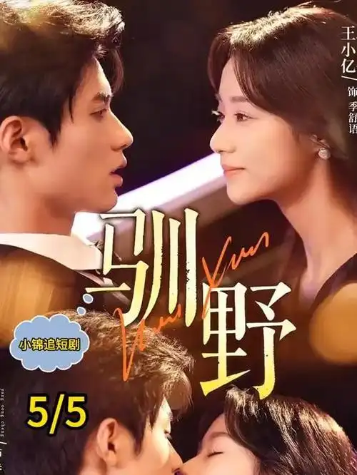 烟火人间都市剧全集在线观看